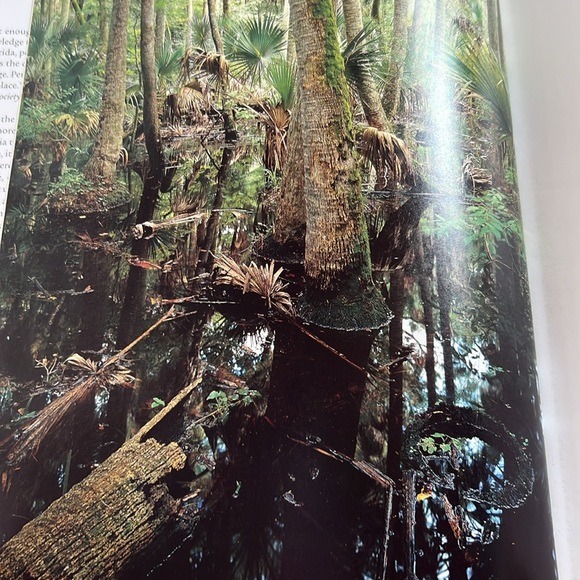 Coffee Table Book Florida The Natural Wonders Hardcover 1997 EUC Large Jacket - Picture 3 of 16
